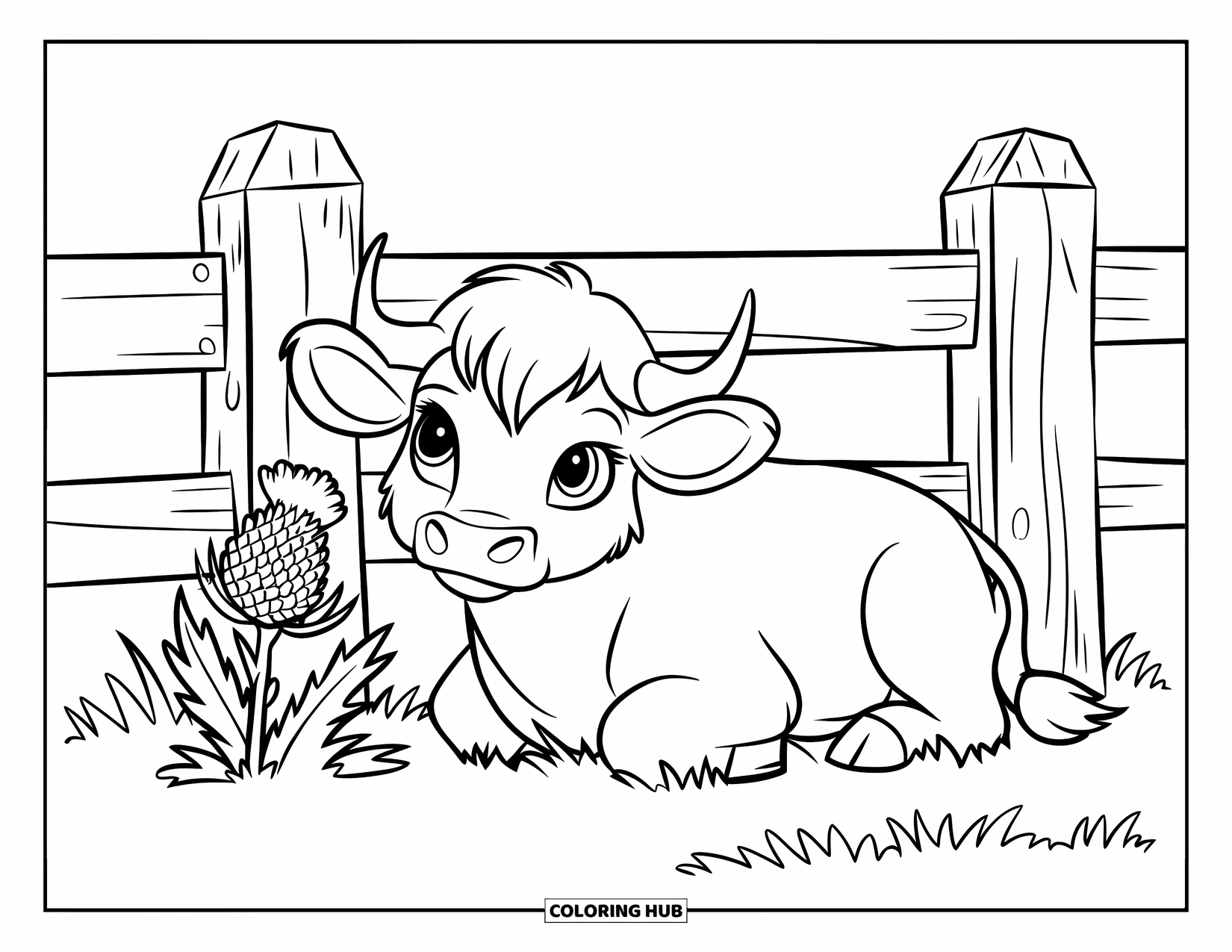 Highland Cow Coloring Page for Kids: A white calf with a black head rests beside a wooden fence and a blooming thistle