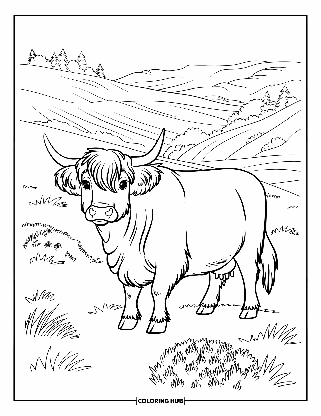 Highland Cow Coloring Page for Kids: A white cow with dark patches stands in a heather meadow with gentle hills