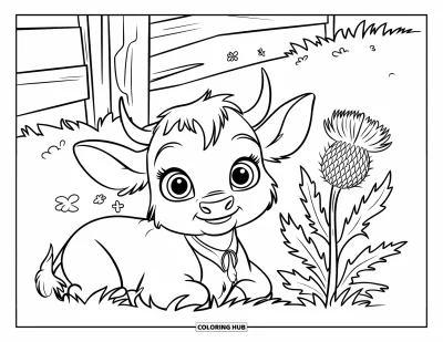 Desenho de vaca das Terras Altas para colorir para crianças: Um bezerrinho de olhos arregalados com coleira vermelha descansa perto de um cardo rosa das Terras Altas