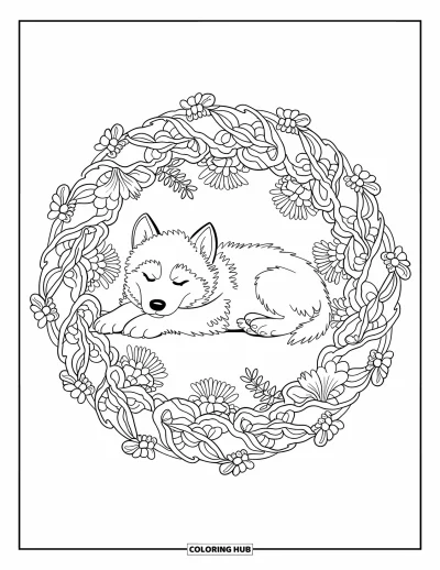 Coloriage de chiot husky pour adultes : Un husky lové dort dans un mandala floral les pattes croisées