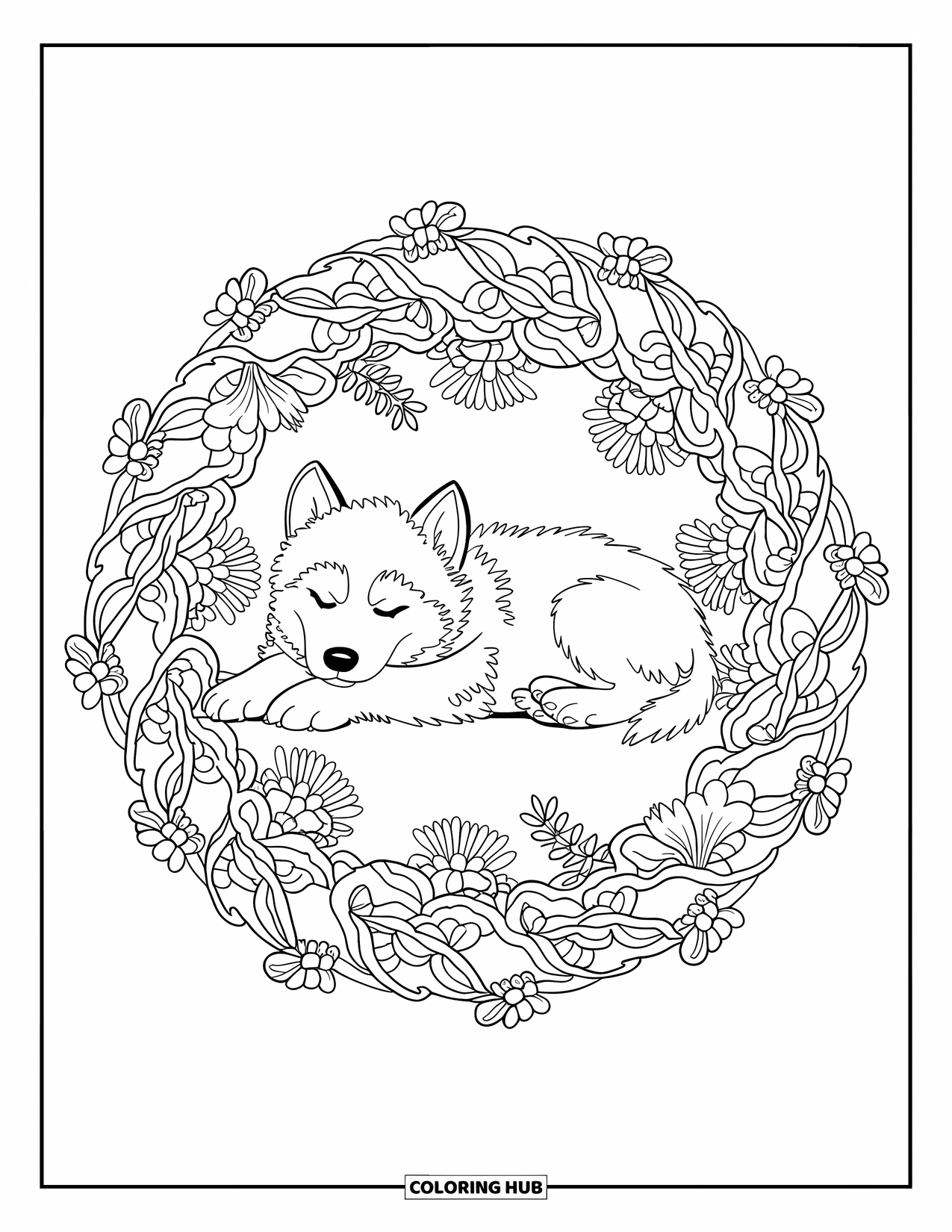 Husky Puppy Coloring Page for Adults: Curled husky sleeps in a floral mandala with paws crossed