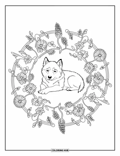 Coloriage de chiot husky pour adultes : Un husky endormi dans un mandala floral de fleurs alpines et de lianes