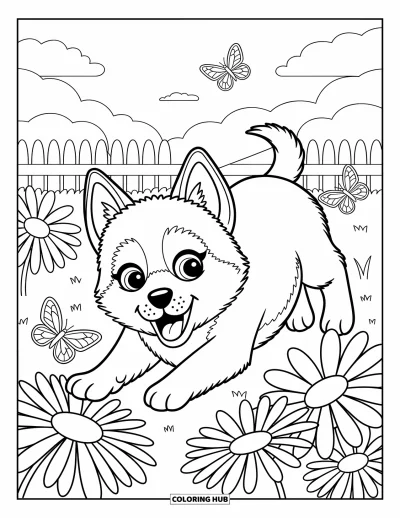 Coloriage de chiot husky pour adultes : Un chiot joyeux joue dans un pré de marguerites et de papillons près d'une clôture