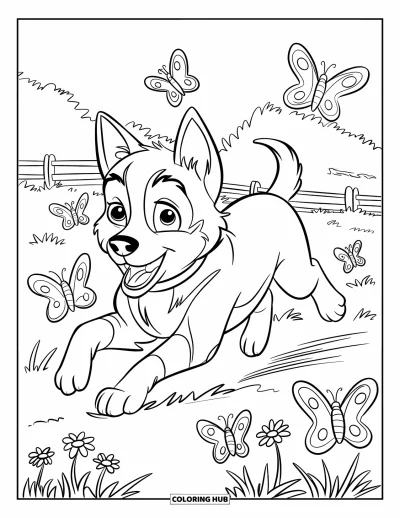 Coloriage de chiot husky pour enfants : Un chiot duveteux court après des papillons près d'une clôture et d'un pré fleuri
