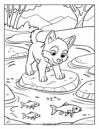 Coloriage de chiot husky pour enfants : Un chiot sur un rocher regarde des poissons nager dans un ruisseau peu profond