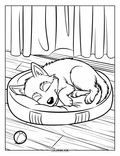 Coloriage de chiot husky pour enfants : Un husky endormi sur un lit douillet près d'une balle et d'une fenêtre avec des rideaux