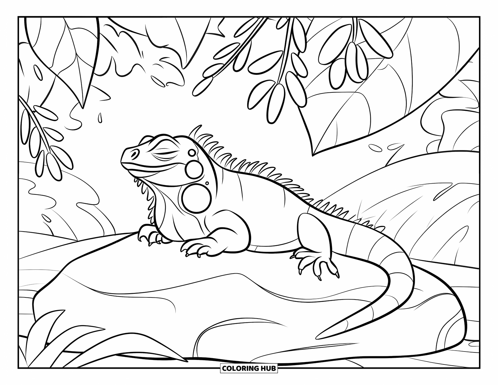 Iguana Coloring Page for Kids: Cozy iguana naps on a warm rock beneath leafy shade in the forest