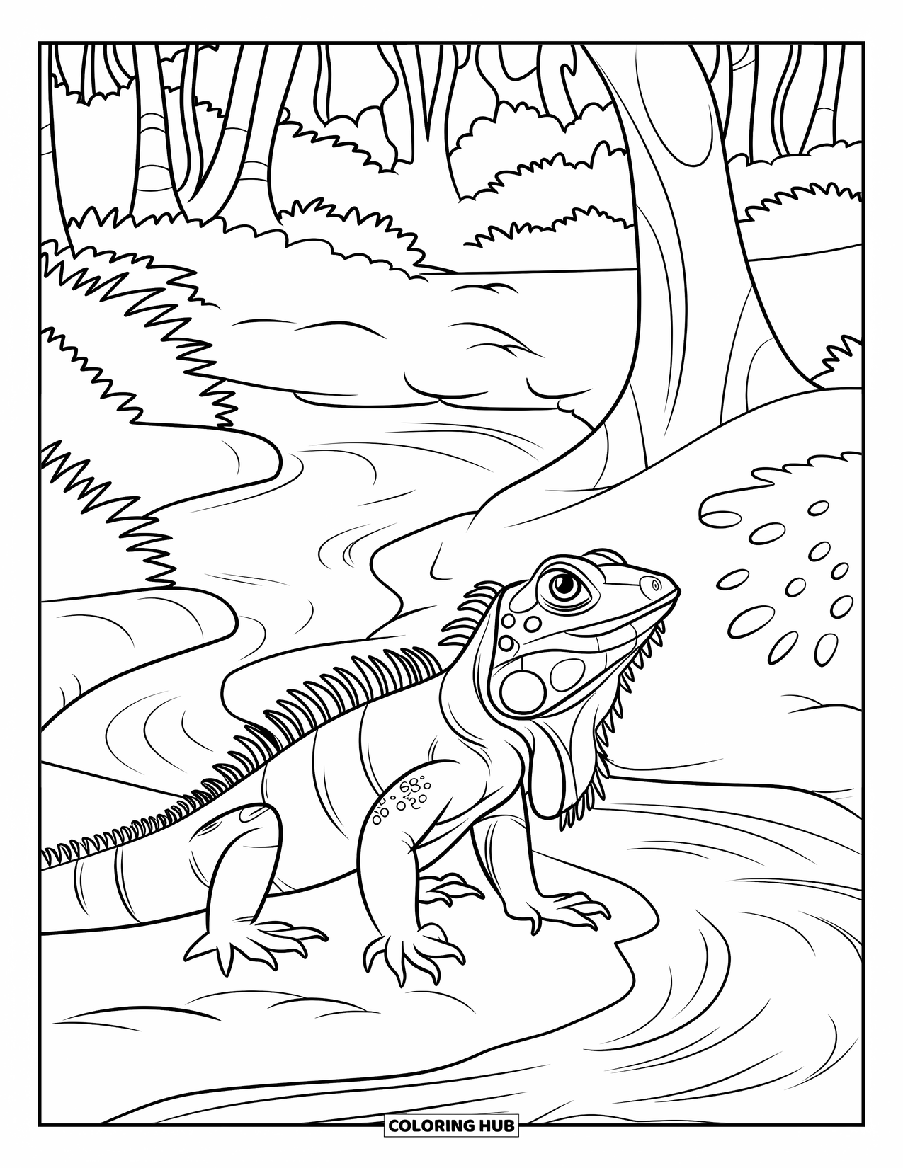 Iguana Coloring Page for Kids: Iguana lifts its head beside a flowing stream in a quiet forest