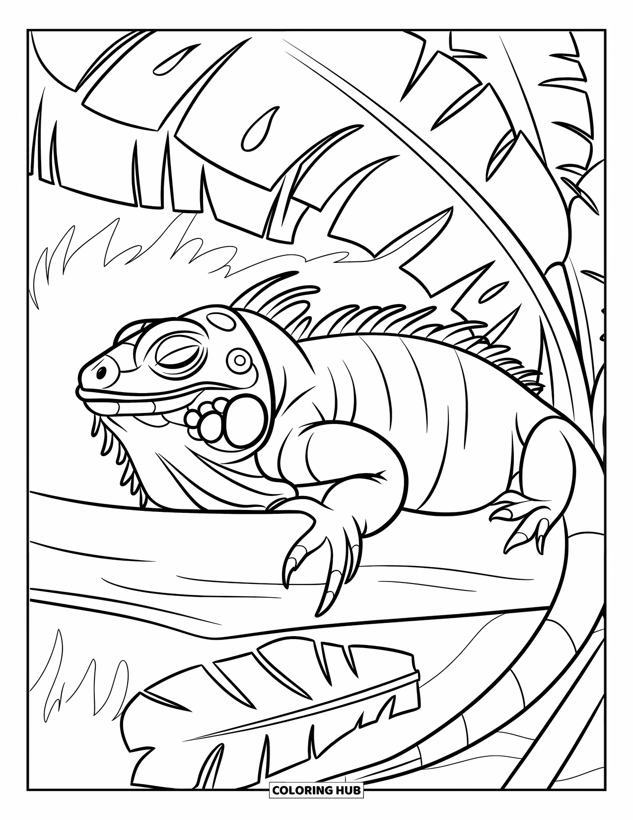 Iguana Coloring Page for Kids: Iguana naps peacefully under a canopy of banana leaves