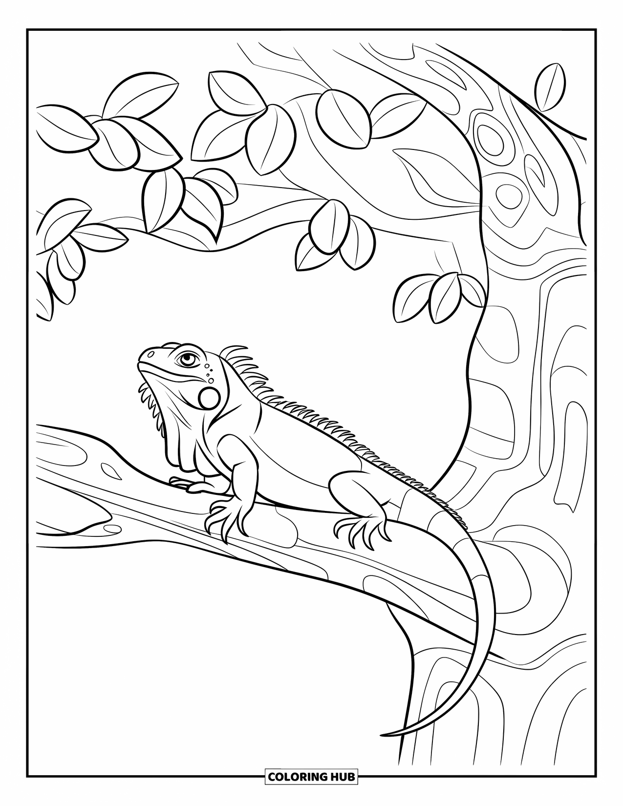 Iguana Coloring Page for Kids: Iguana sits quietly on a branch with crisp leaves around