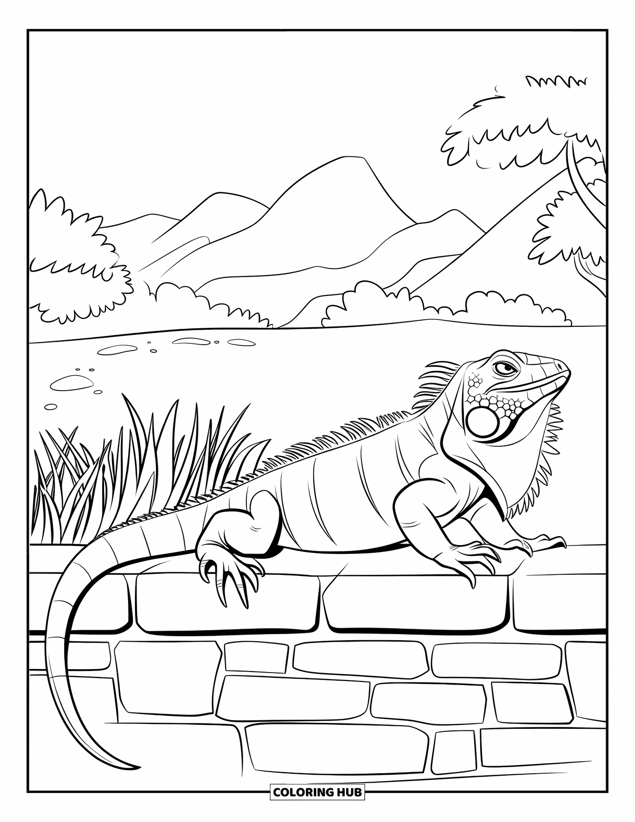 Iguana Coloring Page for Kids: Iguana sunbathes on a cracked stone wall with tail wrapped in grass