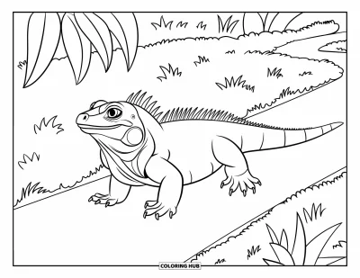 75+ Coloriages d&rsquo;iguane pour enfants et adultes (Gratuits)