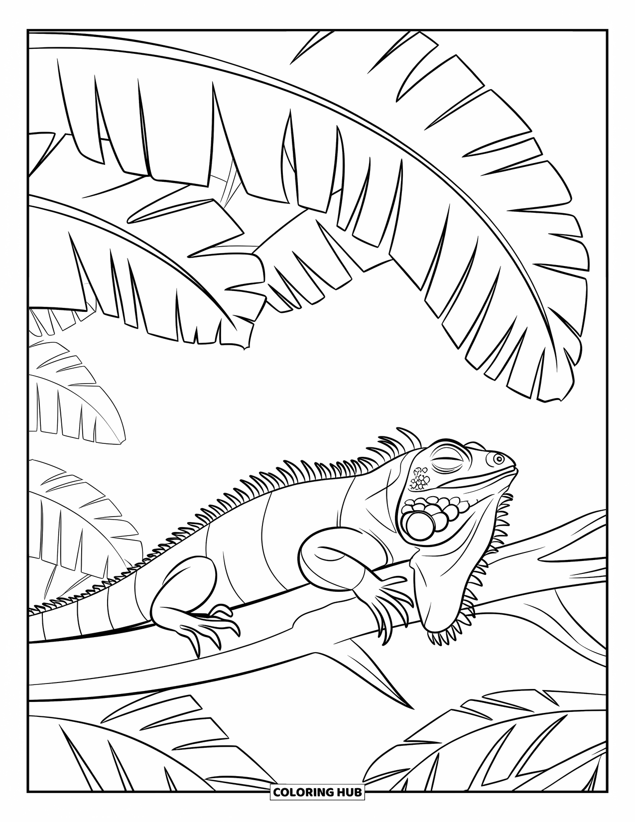 Iguana Coloring Page for Kids: Sleepy iguana relaxes beneath big banana leaves in the forest