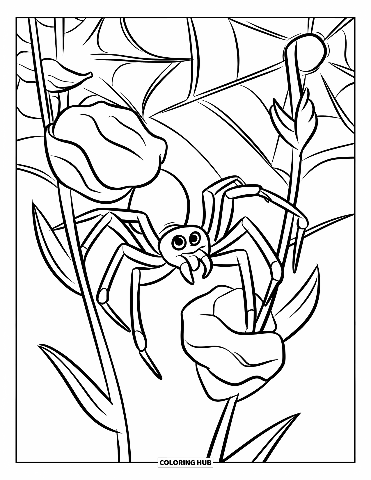 Insects Coloring Page for Kids: A spider builds its web between flower stems in a quiet field