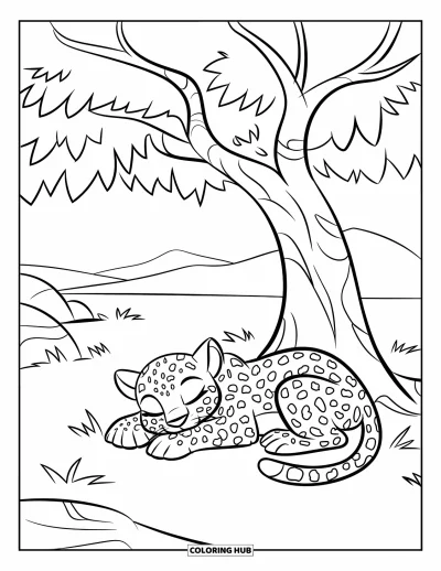 Coloriage de jungle pour enfants : Un bébé léopard sommeille paisiblement sous un arbre ombragé sur un champ verdoyant