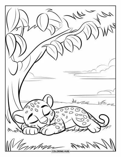 Coloriage de jungle pour enfants : Un bébé léopard dort sous un arbre ombragé dans une vaste plaine herbeuse