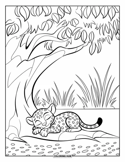 Coloriage de jungle pour enfants : Un bébé léopard dort les pattes repliées sous un arbre dans une savane herbeuse
