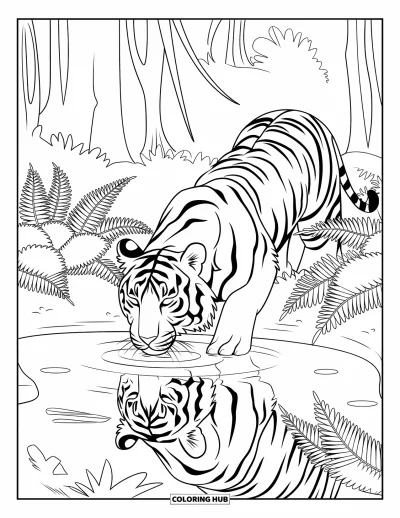 Coloriage de jungle pour enfants : Un tigre boit à un étang calme entouré de fougères et de grands arbres