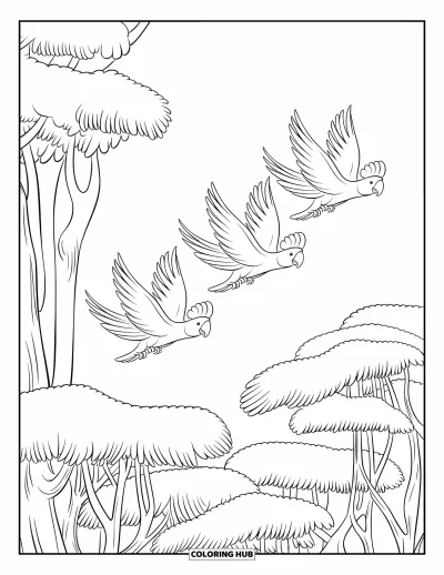 Coloriage de jungle pour enfants : Des cacatoès volent en formation en V au-dessus d'une épaisse canopée de jungle
