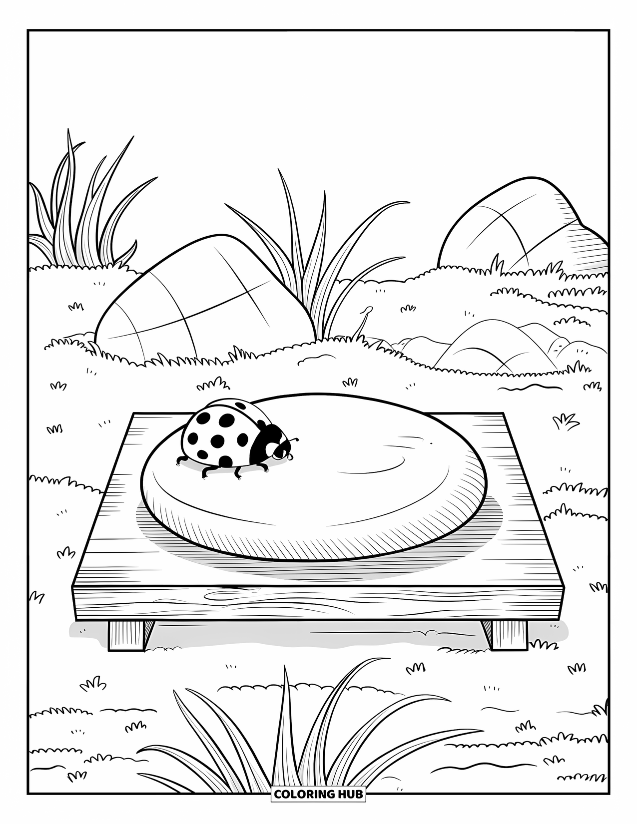 Ladybug Coloring Page for Adults: A ladybug rests on a smooth stone in a peaceful, zen garden setting