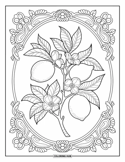 Coloriage de citron pour adultes : Branche de citronnier dans un cadre élégant garni de détails floraux et de motifs