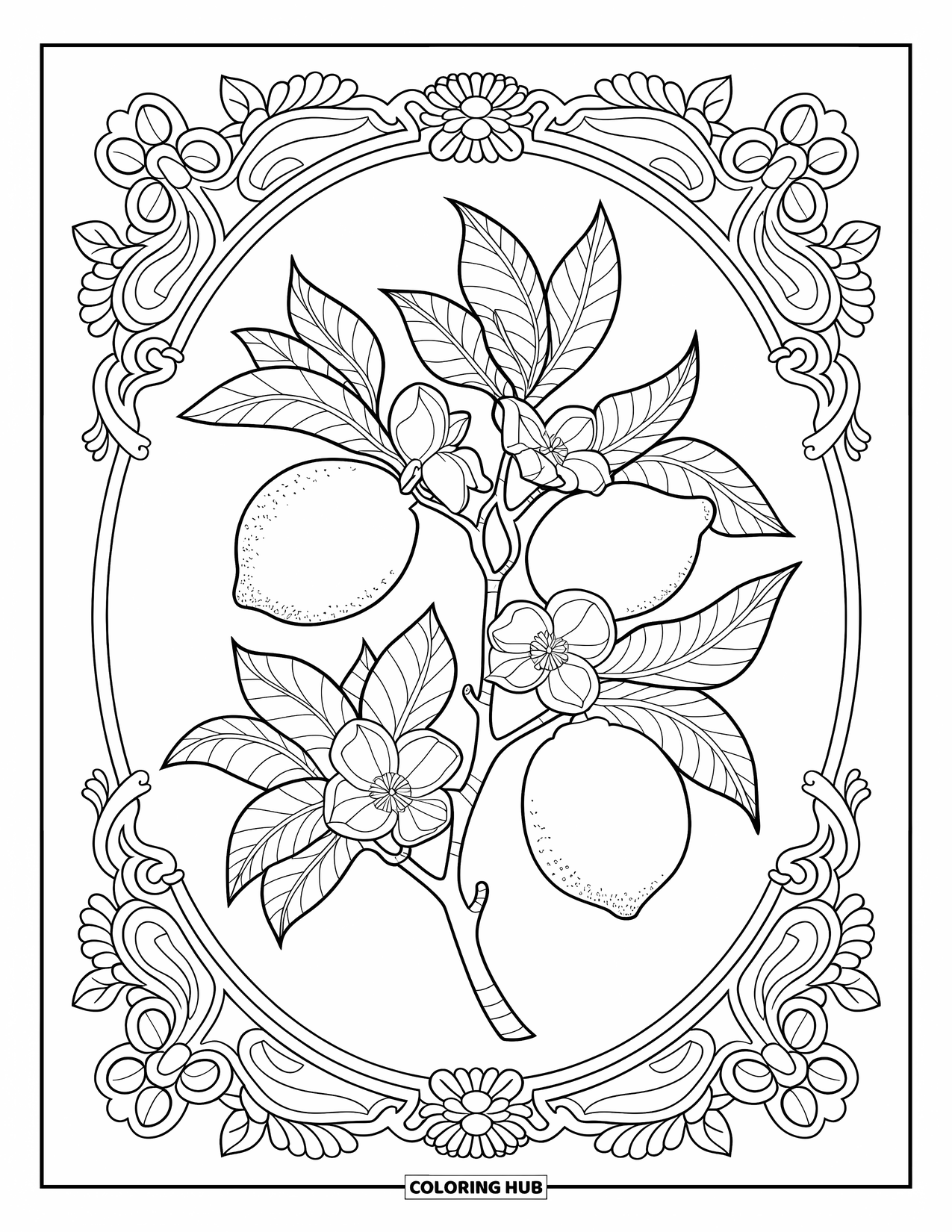 Lemon Coloring Page for Adults: Lemon tree branch in a fancy frame filled with floral details and patterns