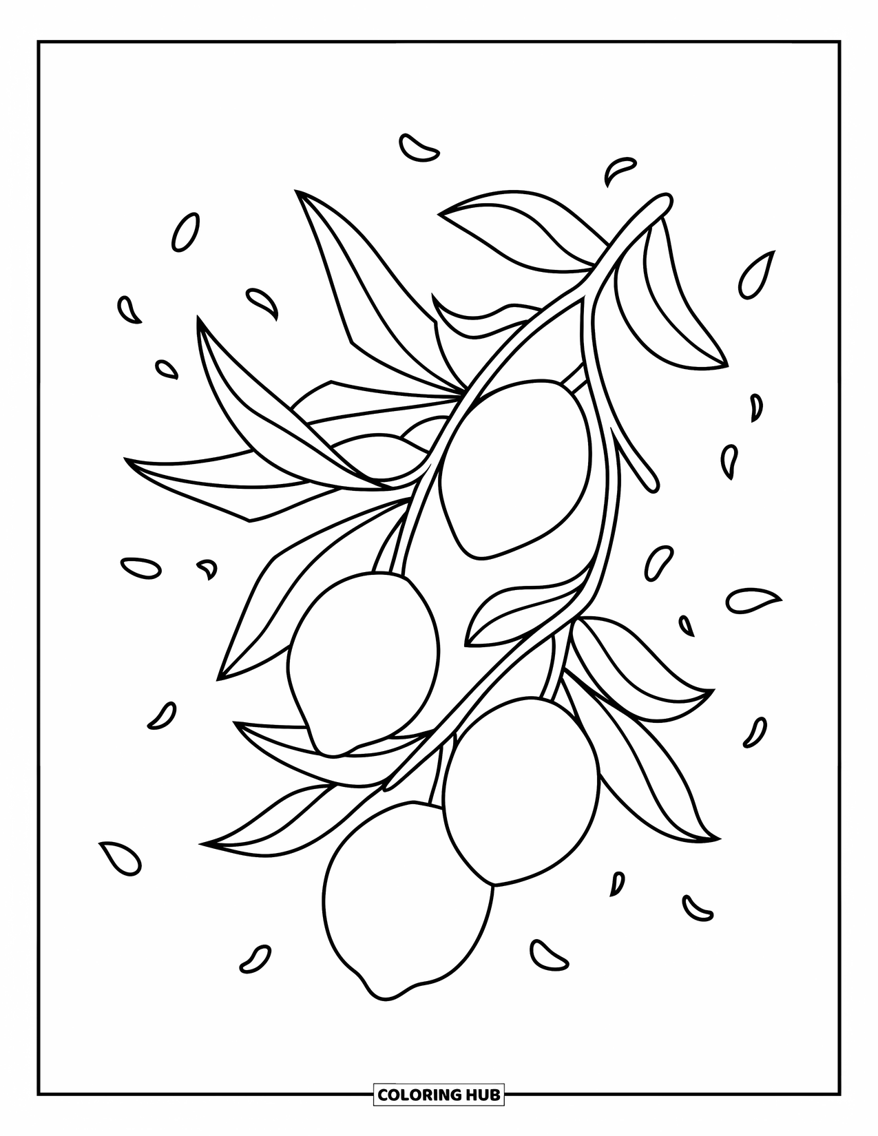 Lemon Coloring Page for Kids: Branch with lemons, leaves, and scattered petals
