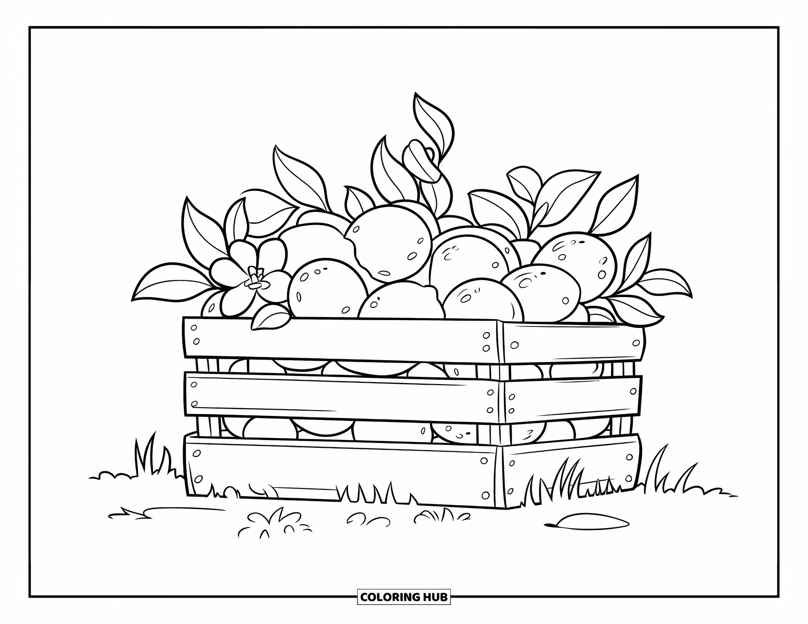 Lemon Coloring Page for Kids: Crate of lemons and blossoms on the ground