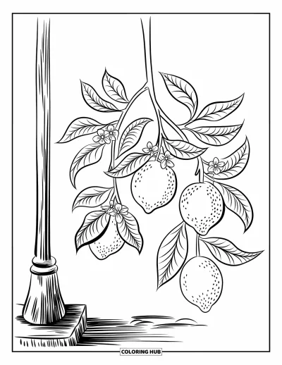 Coloriage de citron pour enfants : Branche de citronnier avec des fleurs suspendue à un poteau en bois