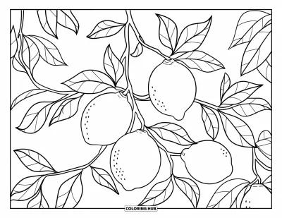 70+ Dibujos de limones para colorear