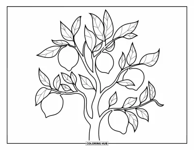 Coloriage de citron pour enfants : Citronnier avec des fruits ronds et des branches sinueuses
