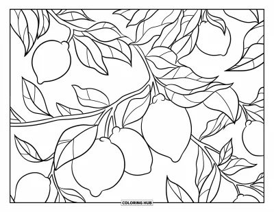 Coloriage de citron pour enfants : Arbre aux gros citrons et aux feuilles généreuses, simple et amusant
