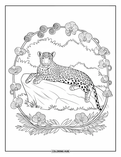 Desenho de leopardo para colorir para adultos: Leopardo descansa em uma pedra emoldurado por orquídeas em espiral e cipós com folhas