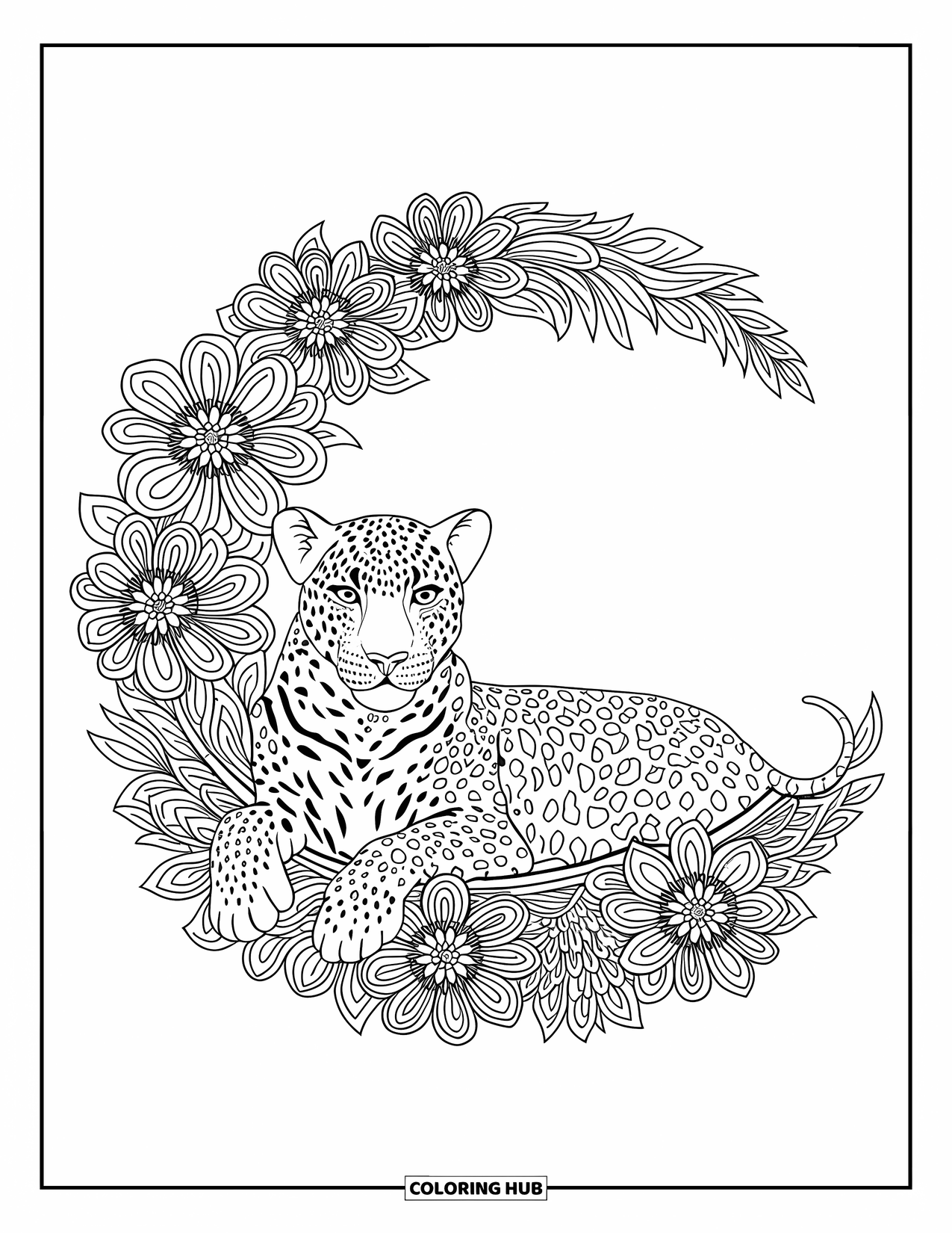 Leopard Coloring Page for Adults: Leopard sleeps in a crescent of mandala wildflowers on a blank background