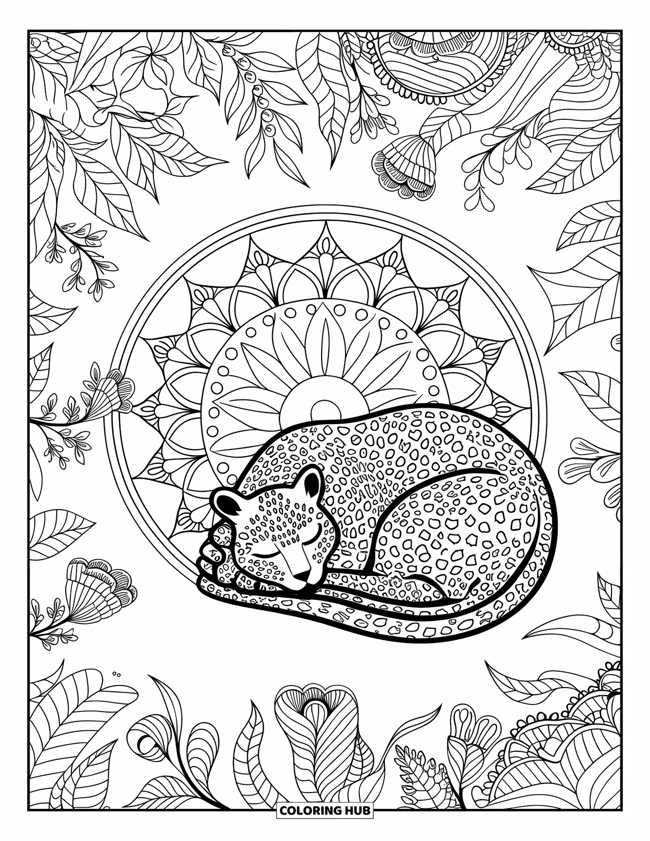 Leopard Coloring Page for Adults: Leopard sleeps near a large mandala of swirling leaves and flowers