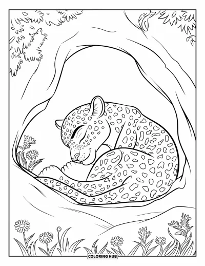 Desenho de leopardo para colorir para crianças: Leopardo se enrola em uma caverna com flores silvestres crescendo por perto