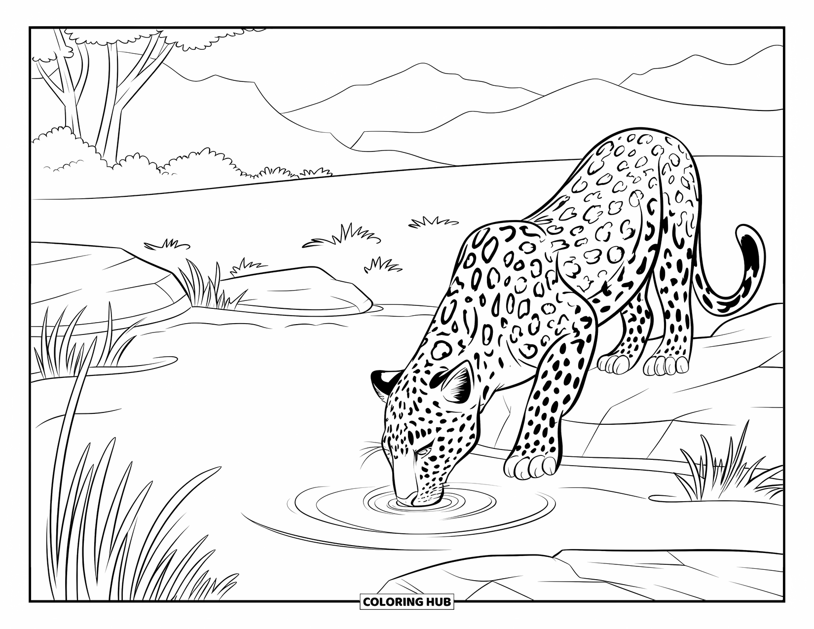 Leopard Coloring Page for Kids: Leopard drinks calmly from a pond surrounded by trees and mountains