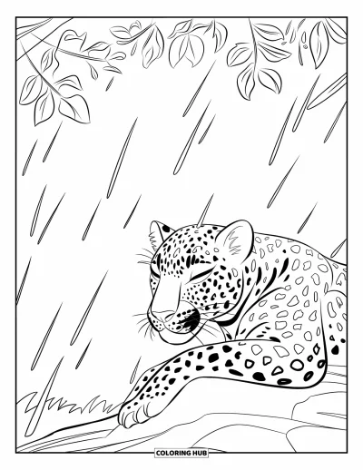 Desenho de leopardo para colorir para crianças: Leopardo cochila sob uma chuva gentil protegido por galhos com folhas