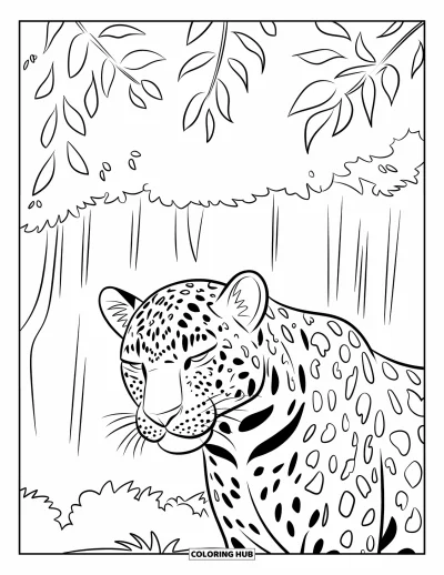 Desenho de leopardo para colorir para crianças: Leopardo relaxa sob a chuva protegido por galhos com folhas em uma floresta densa