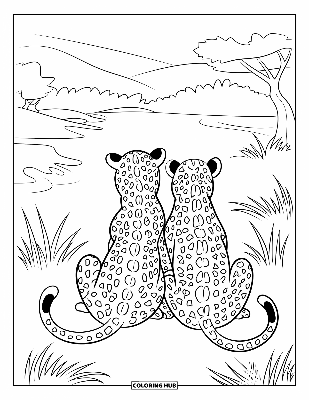 Leopard Coloring Page for Kids: Leopard siblings rest back-to-back in a peaceful grassy meadow