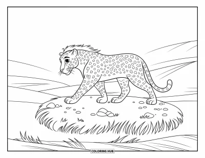 Desenho de leopardo para colorir para crianças: Leopardo passeia por um trecho gramado com juba e colinas ao fundo