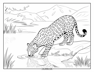 Desenho de leopardo para colorir para crianças: Leopardo de olhos fechados bebe em um lago calmo em uma floresta tranquila
