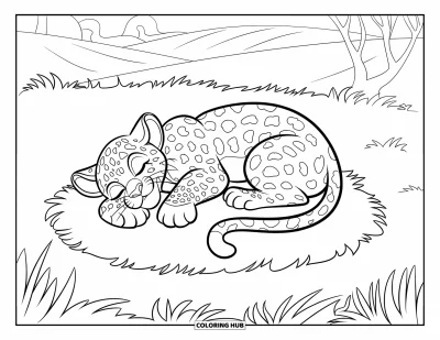 Desenho de leopardo para colorir para crianças: Filhote de leopardo sonolento se enrola como uma rosquinha em um trecho gramado