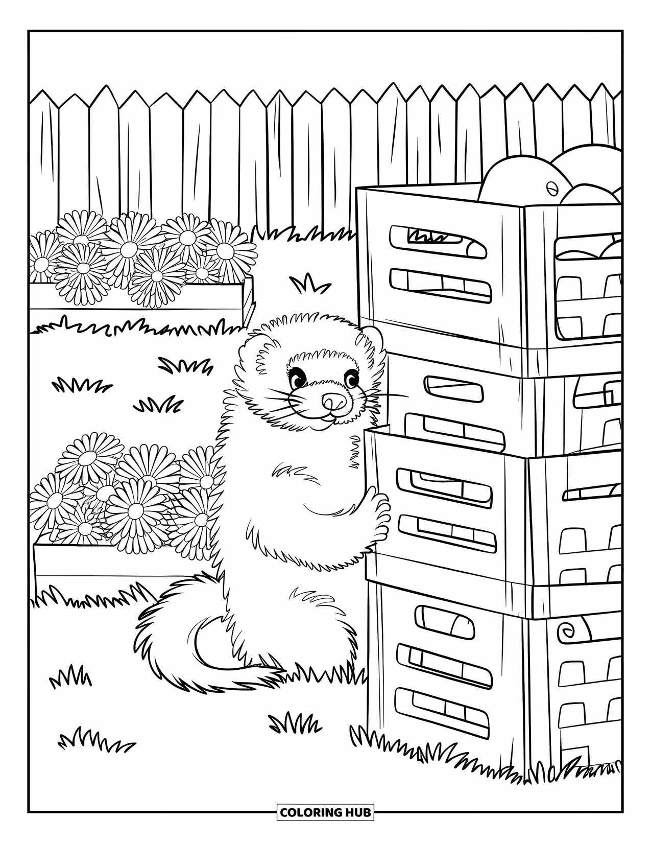 Letter F Coloring Page for Kids: A curious ferret peeks through a fence near crates and flower beds