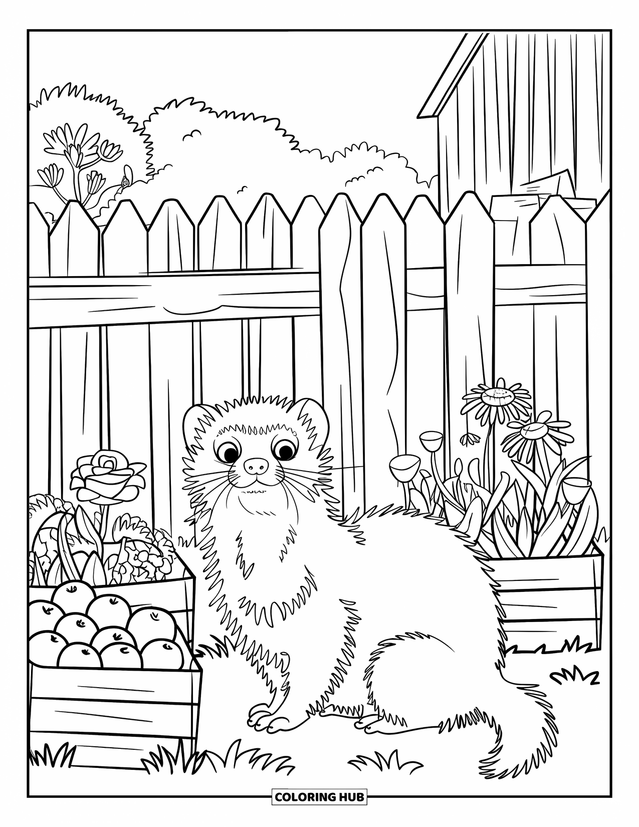 Letter F Coloring Page for Kids: A wide-eyed ferret rests near fruit crates, flowers, and a red barn
