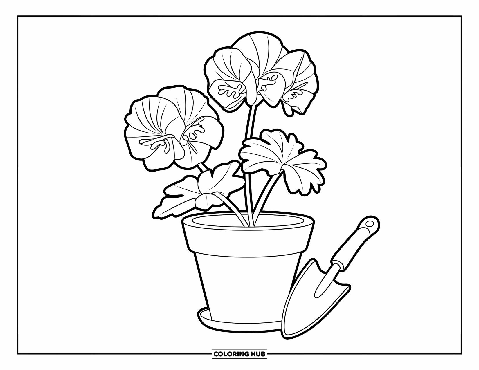 Letter G Coloring Page for Kids: Geranium with five petals sits in a pot beside a trowel
