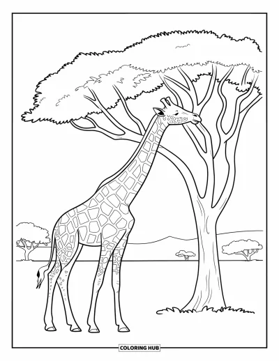 Coloriage de la lettre G pour enfants : Une girafe penche le cou pour grignoter des feuilles dans la savane