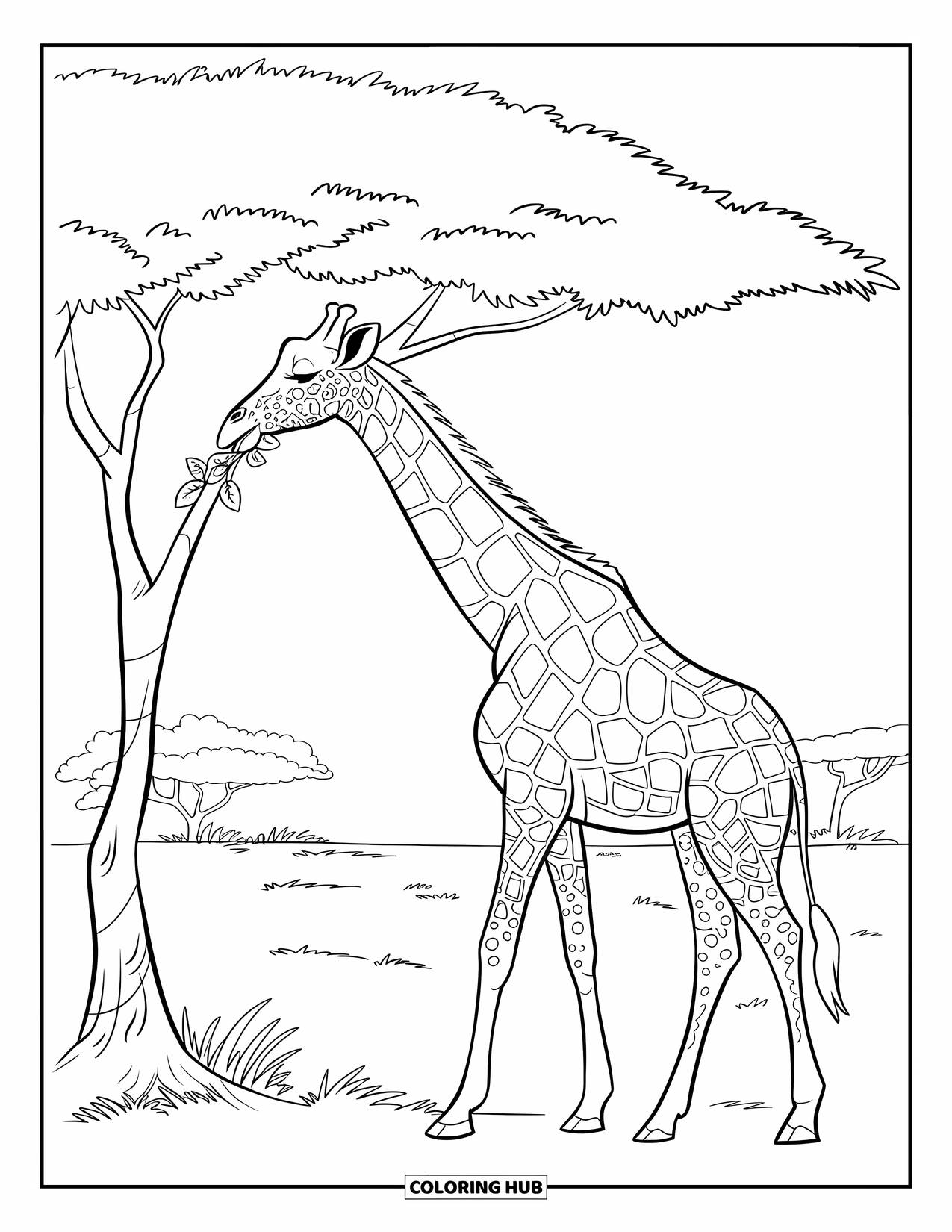 Letter G Coloring Page for Kids: Giraffe munching leaves from a tree in a grassy savanna