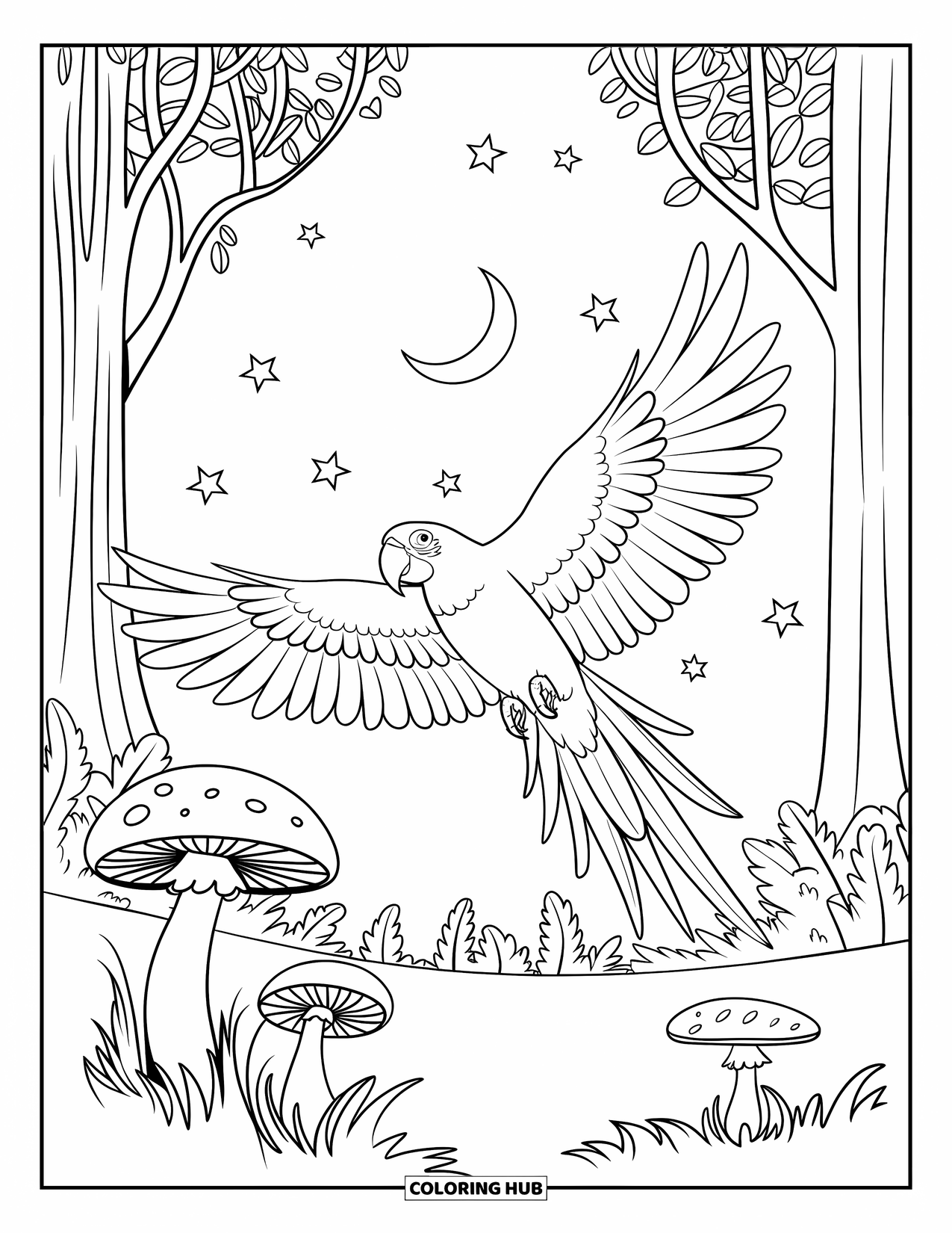 Letter M Coloring Page for Kids: A macaw glides over mushrooms beneath a peaceful night sky