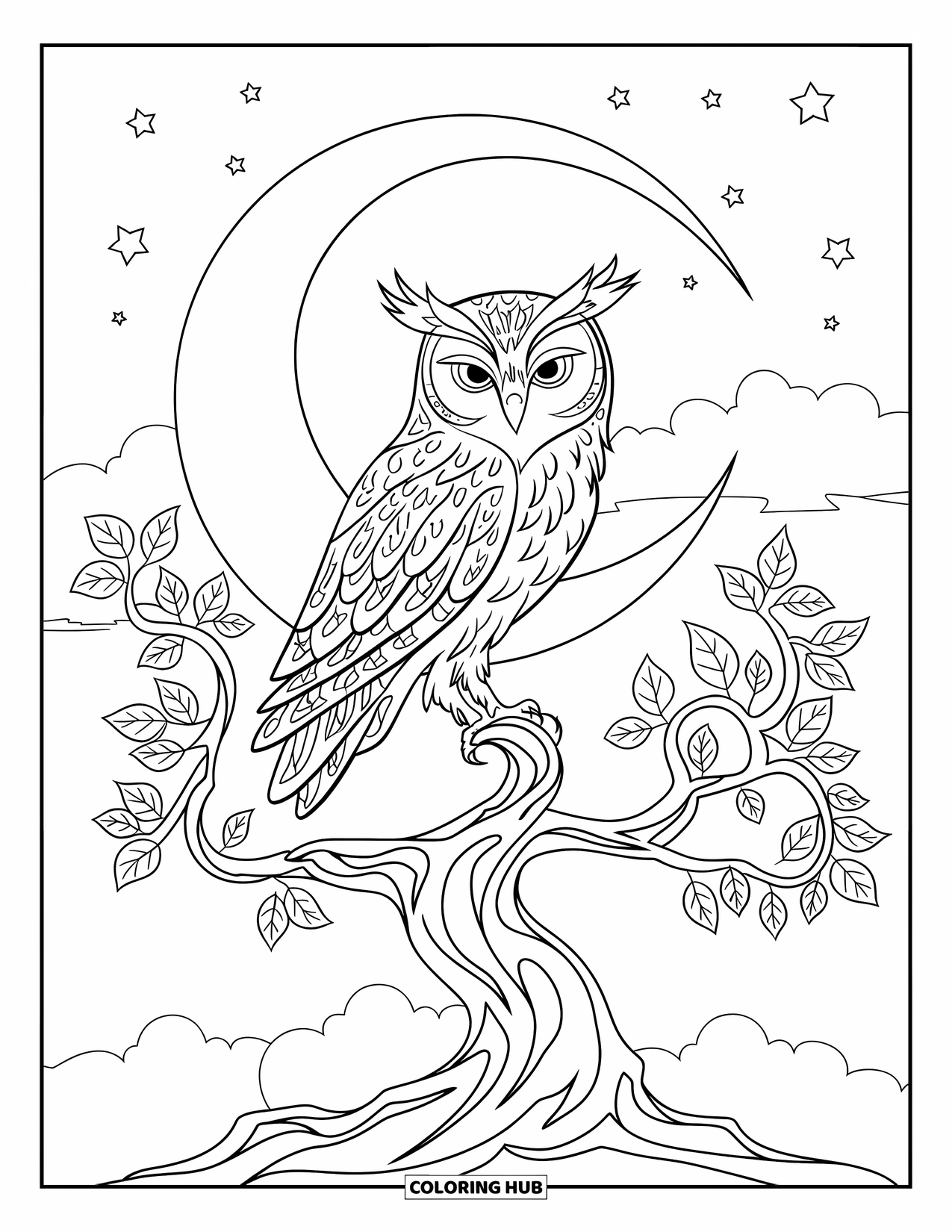 Letter O Coloring Page for Kids: Serene owl perched on a tree under the stars and moonlight